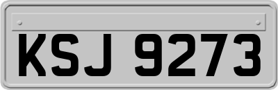 KSJ9273