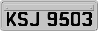 KSJ9503