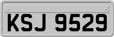KSJ9529