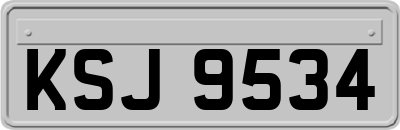 KSJ9534