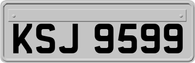KSJ9599