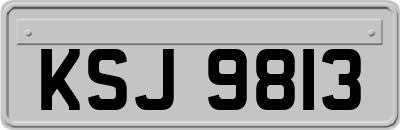 KSJ9813
