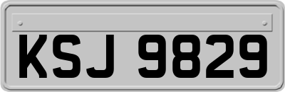 KSJ9829