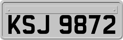 KSJ9872