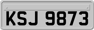KSJ9873