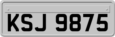 KSJ9875