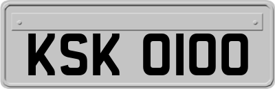 KSK0100