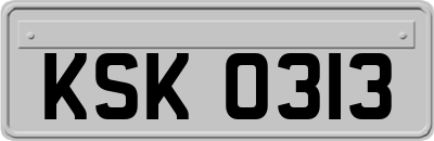 KSK0313