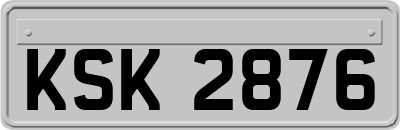 KSK2876