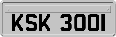 KSK3001