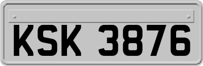 KSK3876
