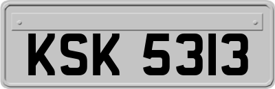 KSK5313
