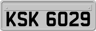 KSK6029