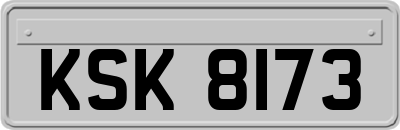 KSK8173