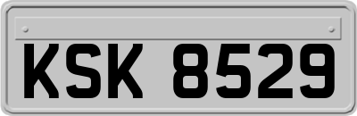 KSK8529