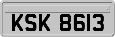 KSK8613