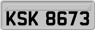 KSK8673
