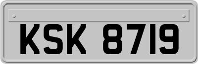 KSK8719