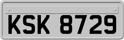 KSK8729