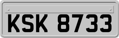 KSK8733