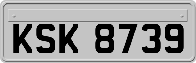 KSK8739