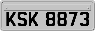 KSK8873