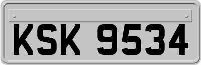 KSK9534