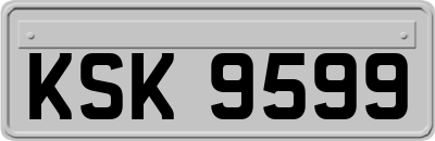 KSK9599