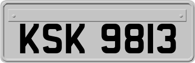 KSK9813