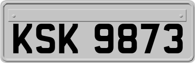 KSK9873