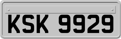 KSK9929