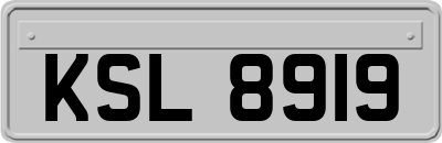 KSL8919