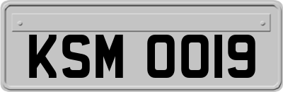 KSM0019