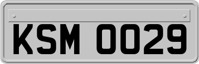 KSM0029