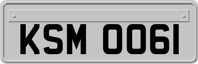 KSM0061