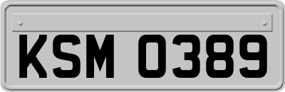 KSM0389