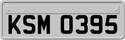 KSM0395