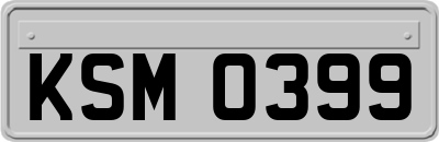 KSM0399