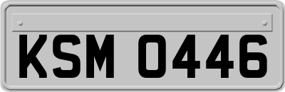 KSM0446