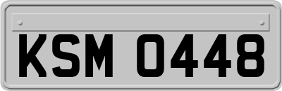 KSM0448