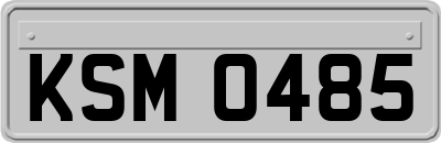KSM0485