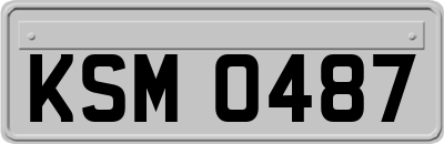 KSM0487