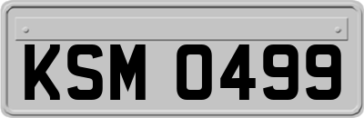 KSM0499