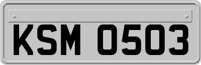 KSM0503