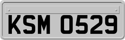 KSM0529