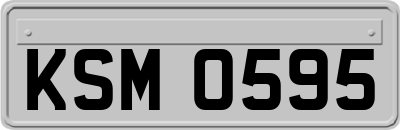 KSM0595