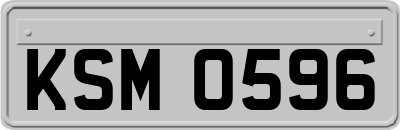 KSM0596