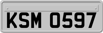 KSM0597