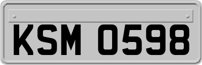 KSM0598