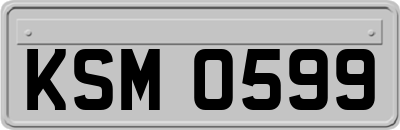 KSM0599